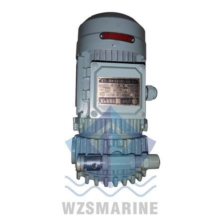 山水電気P-160 CYBW Series Marine Air Pump - Wenzhou Solid Mechanical