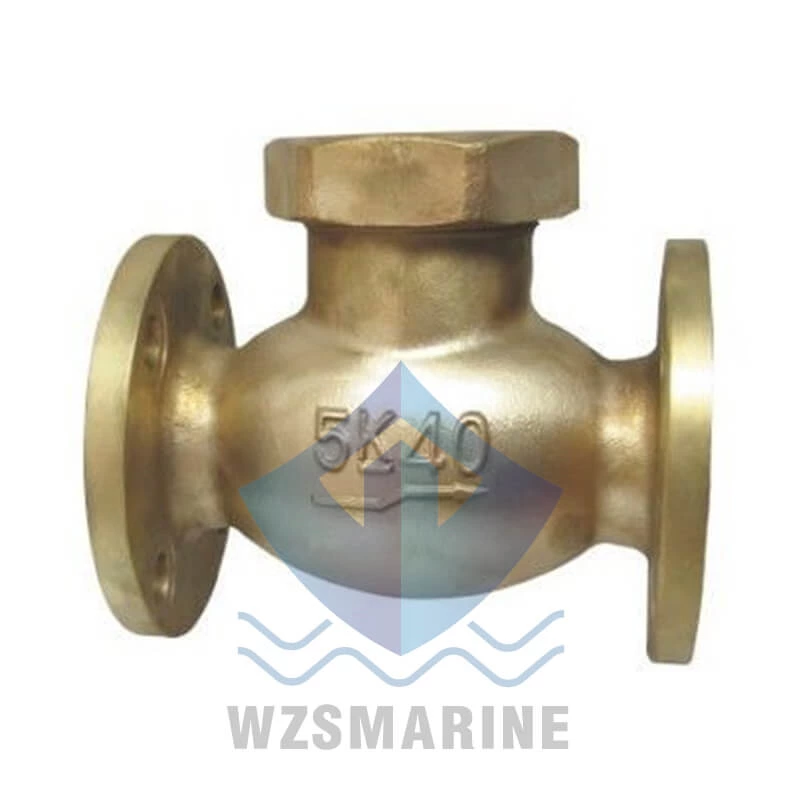 Válvula de retenção de bronze