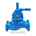 Válvula de retenção globo de controle hidráulico multivoltas marítimas