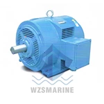 Motor assíncrono trifásico marítimo série YH (IP23)