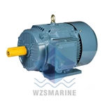 YS100L2-4 Морской трехфазный асинхронный двигатель
